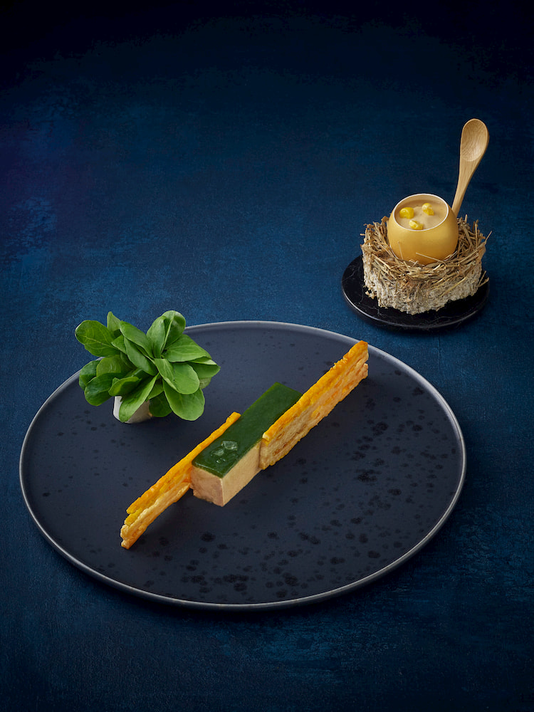 Concept d'un foie gras mache sur une assiette